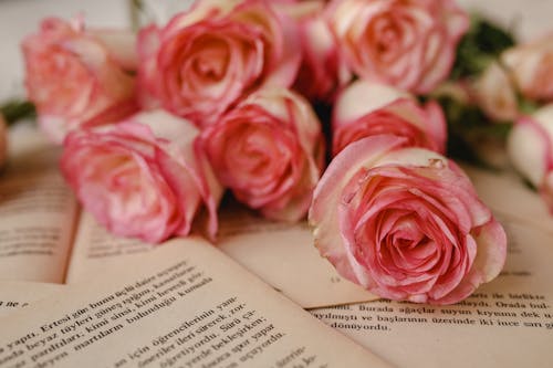 A Close-Up Shot of Bouquet of Pink and White Roses