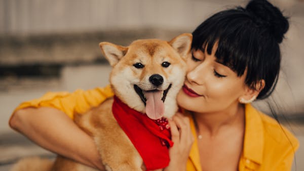 A woman lovingly embraces her Shiba Inu dog, capturing a joyful and affectionate moment.