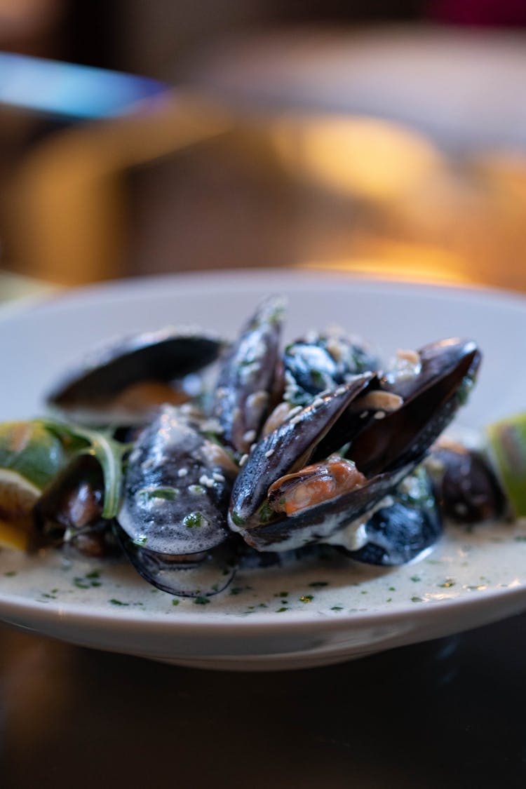 Oysters On A Plate