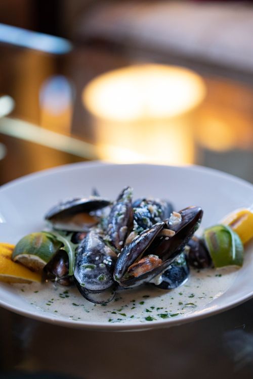Free Close-up of a gourmet mussel dish in cream sauce garnished with citrus slices. Stock Photo