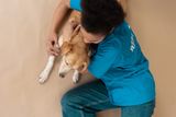 Person hugging a dog — illustrative stock photo