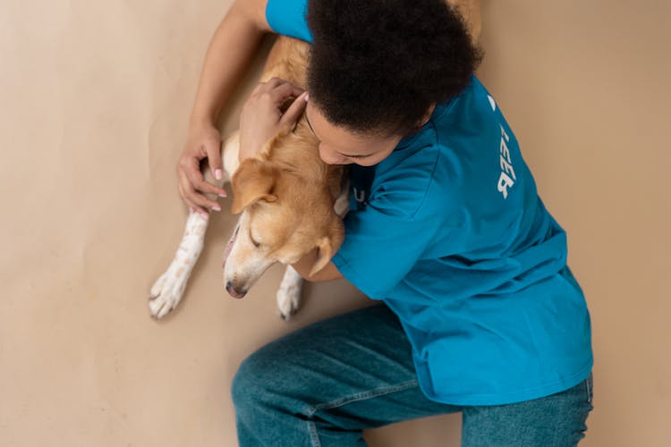 Person Hugging The Dog 