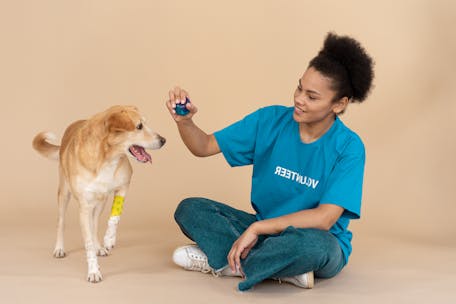 A smiling volunteer plays with a golden retriever mix during a studio photoshoot.