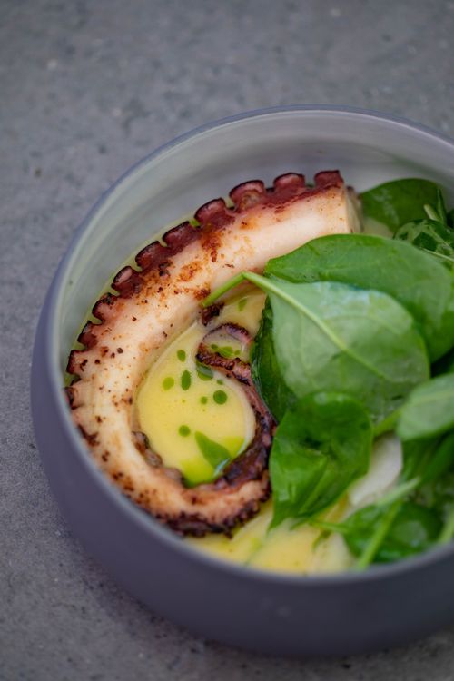 Free From above delicious puree soup with octopus tentacle and fresh spinach leaves served in bowl Stock Photo