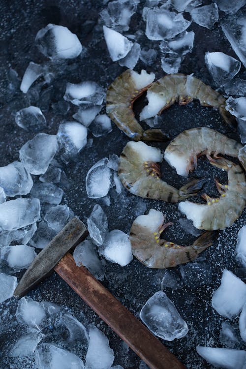 Základová fotografie zdarma na téma celý snímek, černé pozadí, chaotický