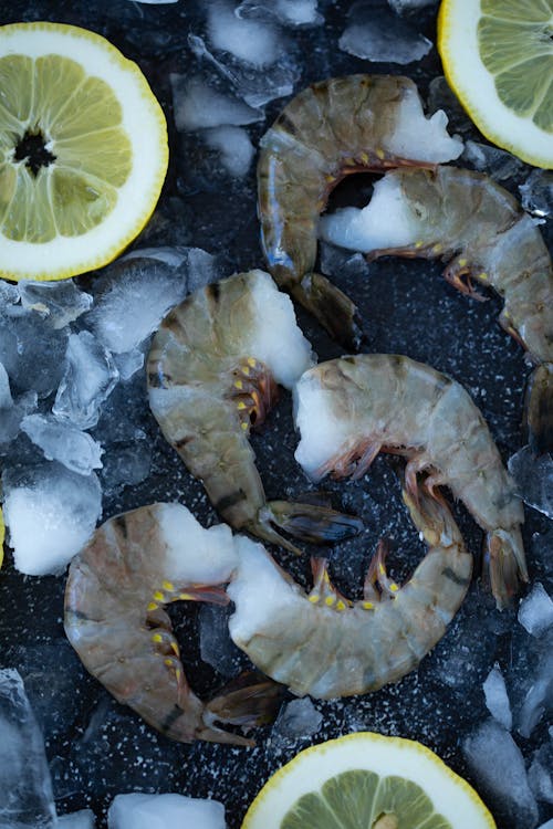 Overhead of uncooked shrimps placed with lemon slices among ice fragments on black surface