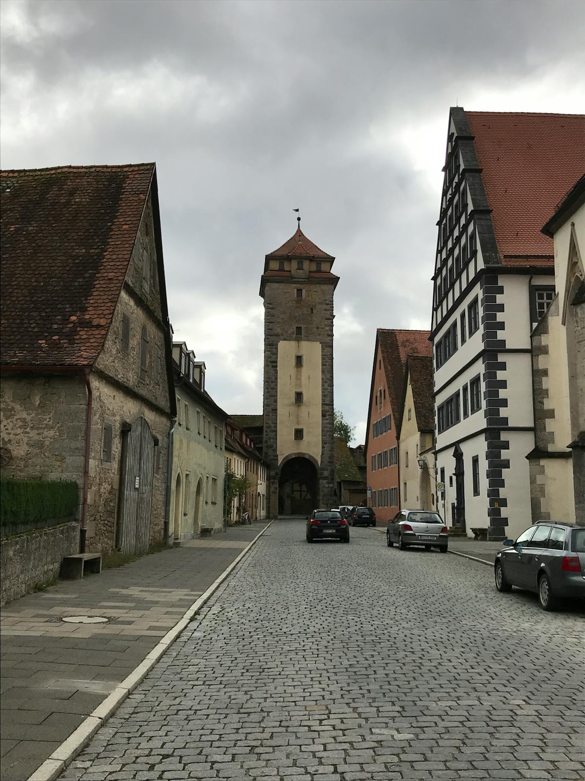 Year of the Snake 2025