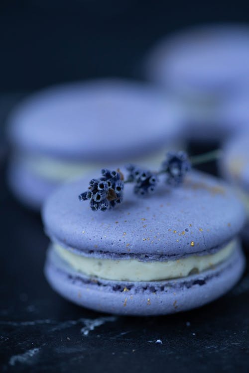 Free Closeup purple sweet macaroons decorated with small flower and placed on table Stock Photo