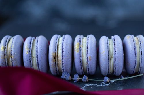 Free Set of delicious sweet macaroons in violet color with white cream served on table in bakery with flower Stock Photo