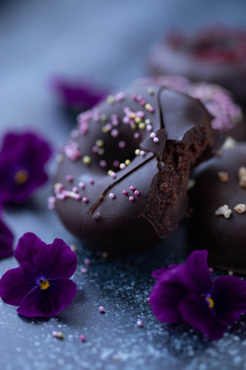 Free From above of bitten sweet chocolate donut with colorful sprinkles placed on plate decorated with small fresh Viola flowers against blurred background Stock Photo