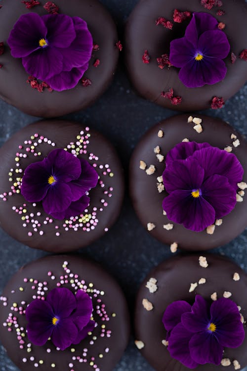 Composition of chocolate desserts with Viola flowers