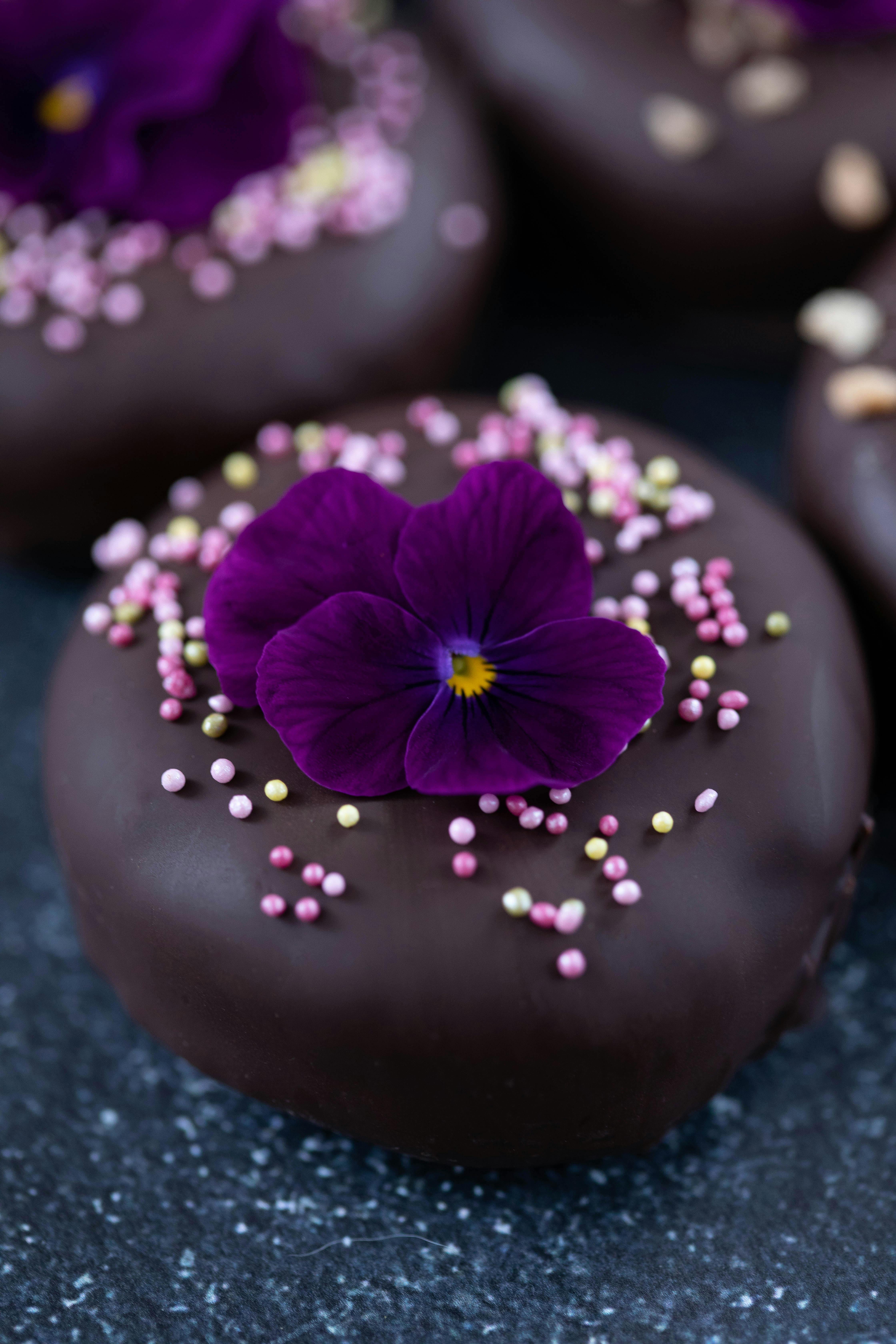 Delicious chocolate dessert decorated with aromatic Viola flower · Free
