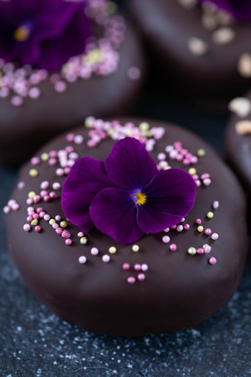 Free From above of tasty sweet chocolate glazed donuts decorated with sprinkles and fresh Viola flower in daylight Stock Photo
