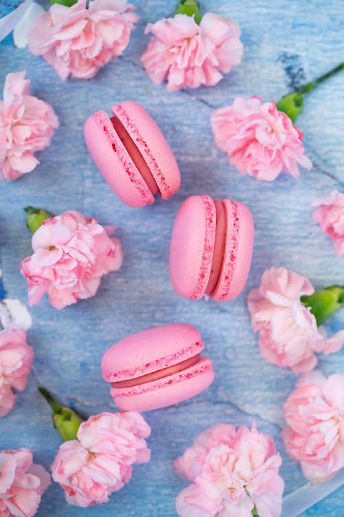 Free Pink macaroons placed among carnations on table Stock Photo