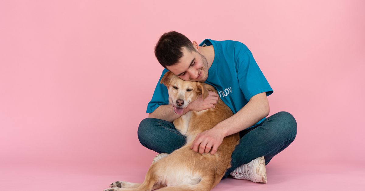 Smiling man in blue shirt hugging a happy dog on pink studio floor, enjoying companionship.