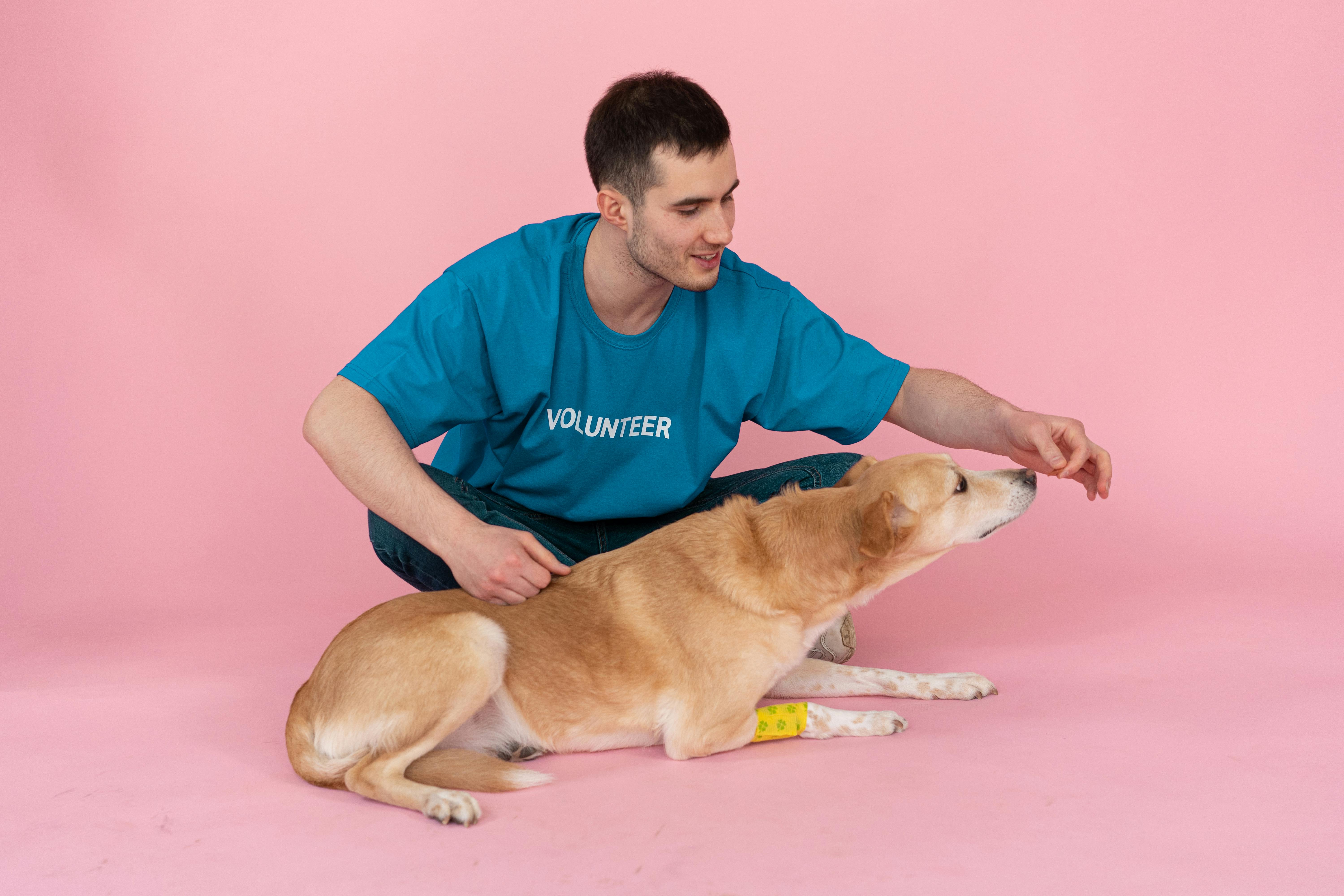 Man Sitting on the Floor while Feeding a Dog · animal shelter volunteer