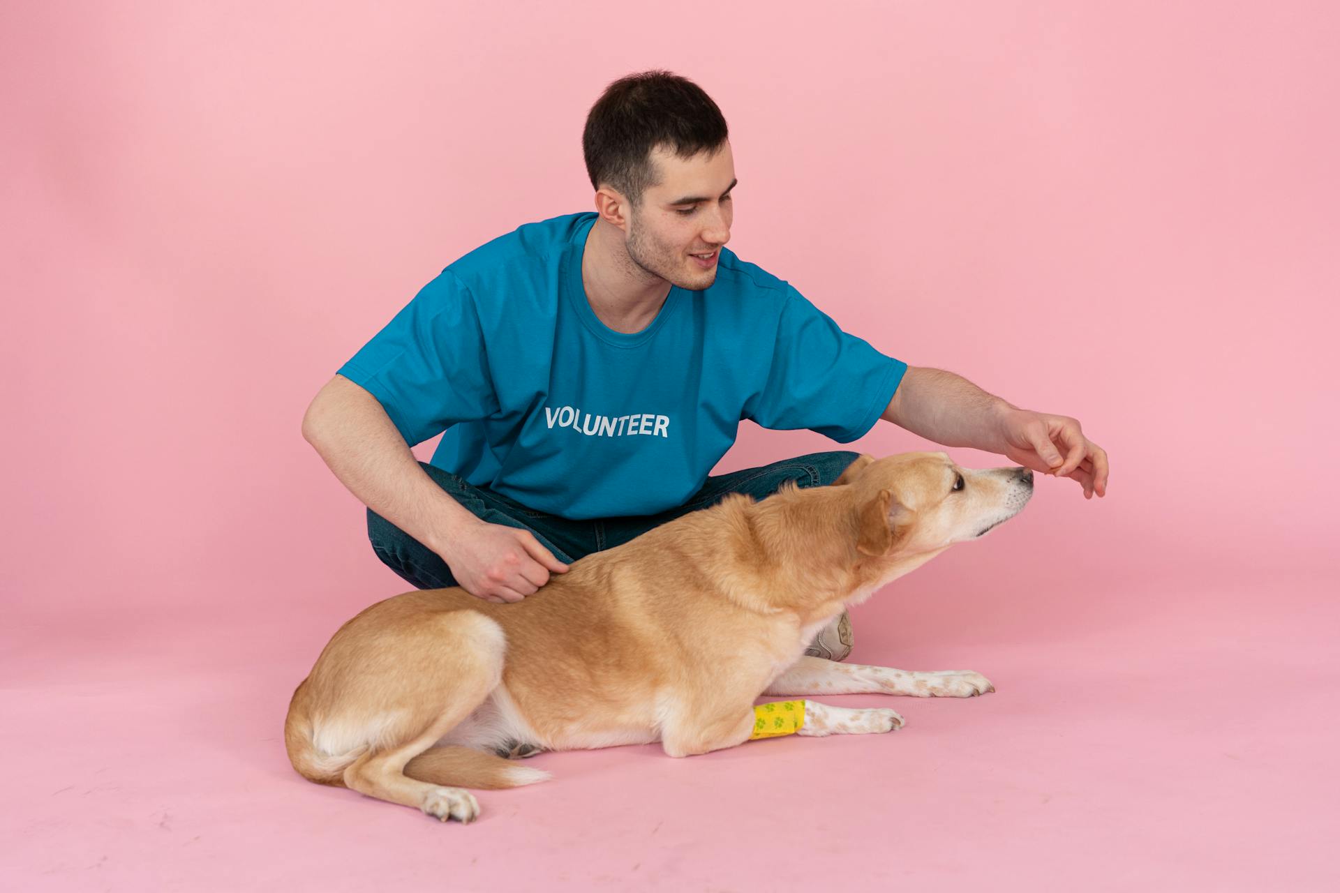 Man Sitting on the Floor while Feeding a Dog