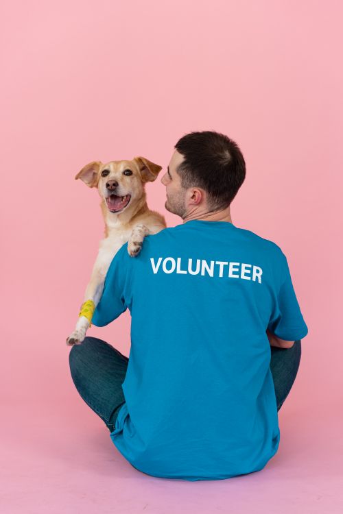 Free A volunteer wearing a blue shirt cuddles a happy dog in a studio with a pink background. Stock Photo
