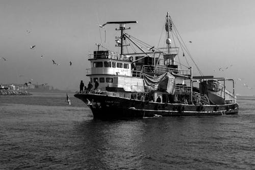 Grayscale Photo of Ship on Sea With Flying Birds 