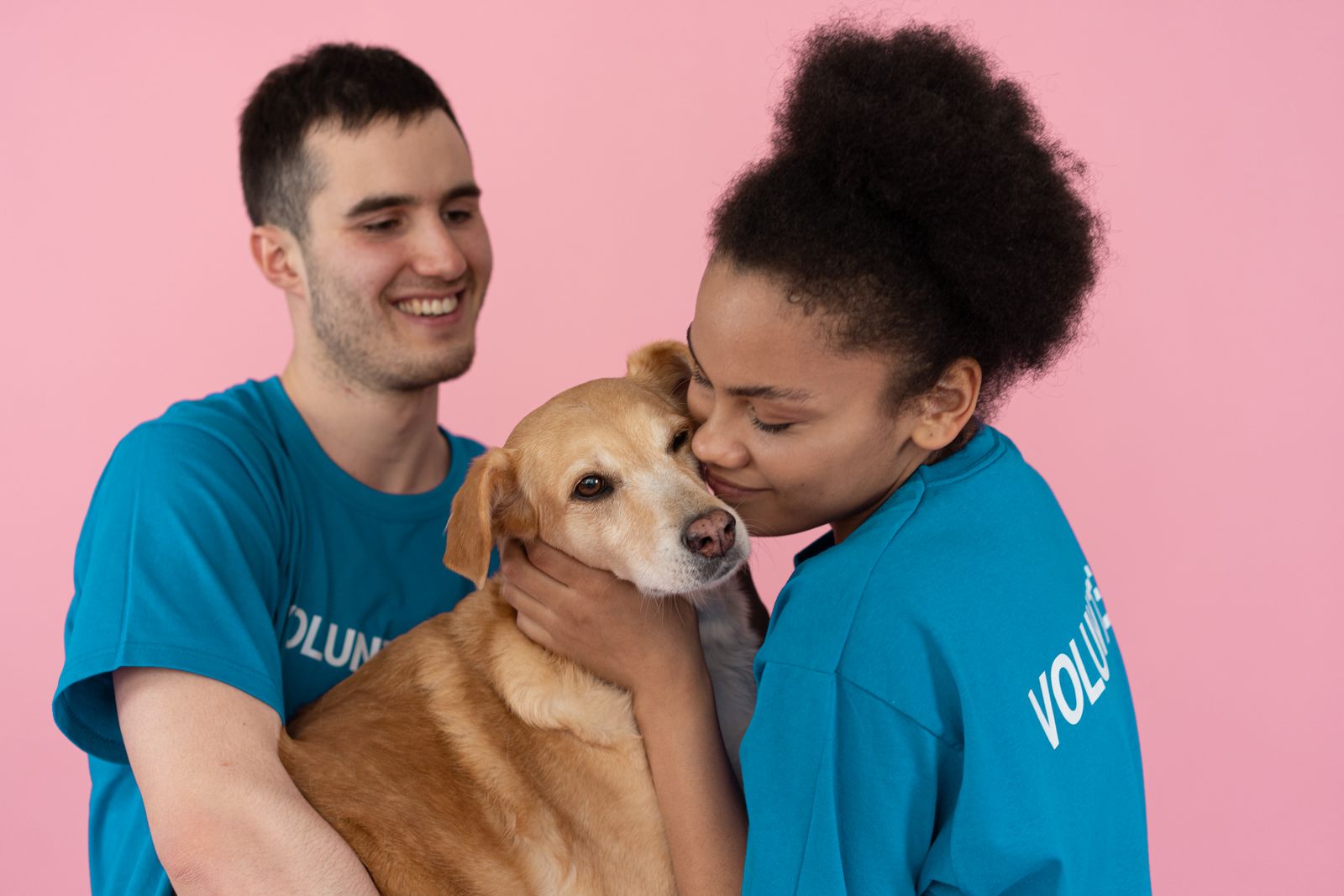 Two volunteers in blue T-shirts hugging a golden dog against a pink wall