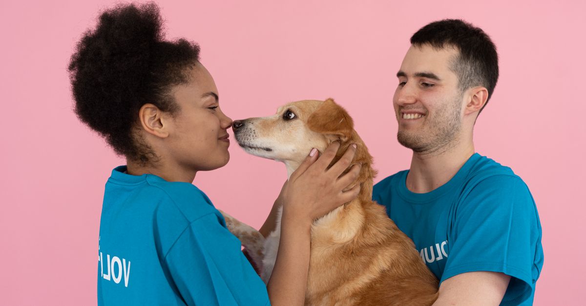 Pet Friendly Networking: Essential Strategies for Success
