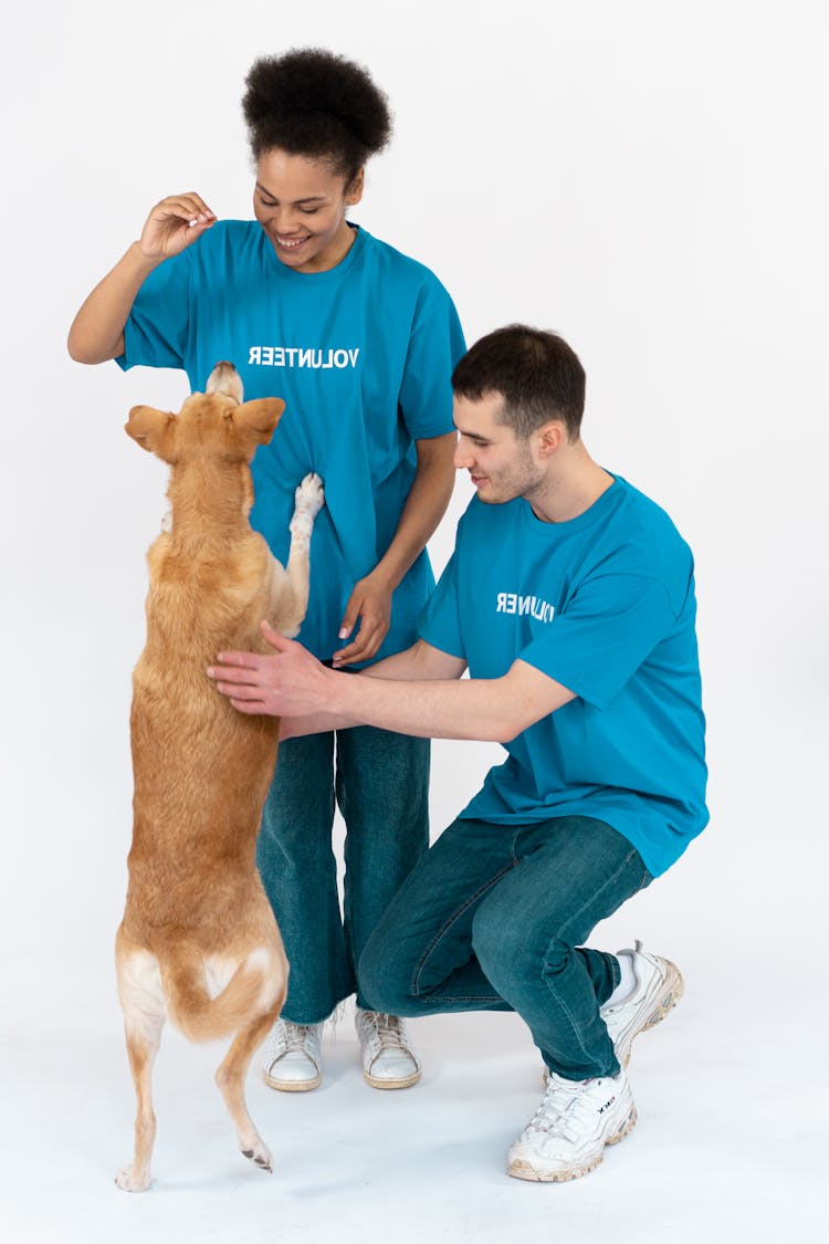 A Man And A Woman Playing With A Dog