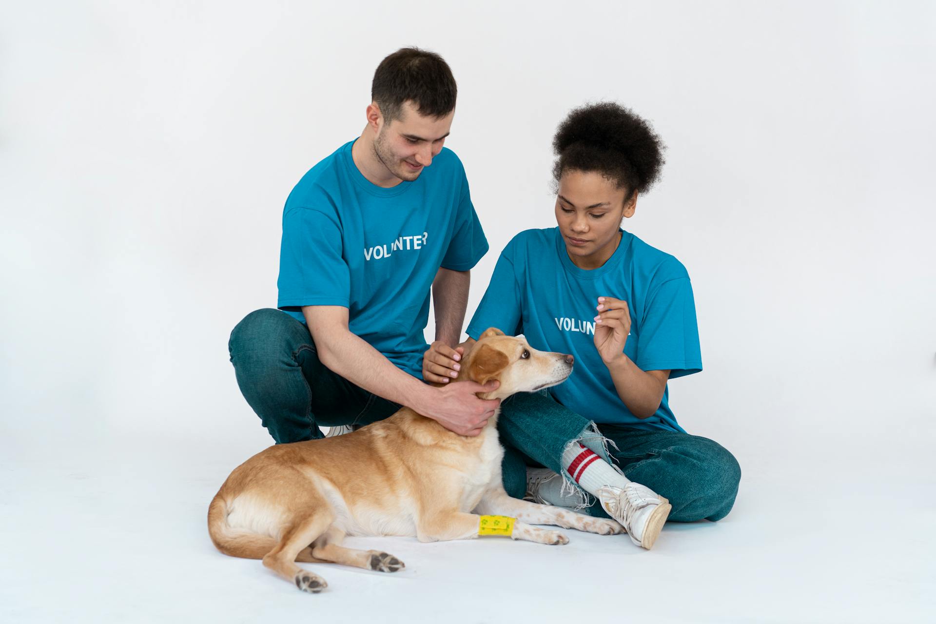 A Man and a Woman Holding a Brown Dog