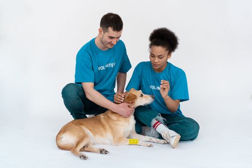 Free Two volunteers interacting lovingly with a dog in a studio setting. Stock Photo