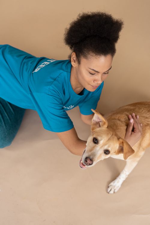 Free Overhead shot of a woman with curly hair and a dog in a studio setting. Stock Photo
