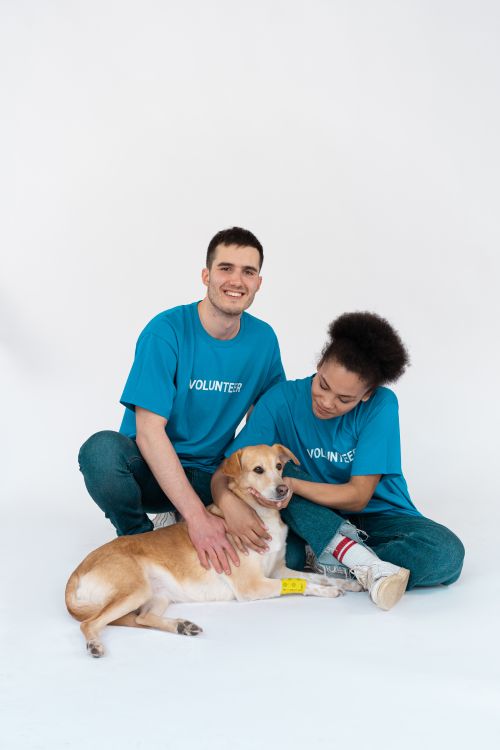 Free A diverse group of volunteers posing happily with a cute dog in a bright studio setting. Stock Photo
