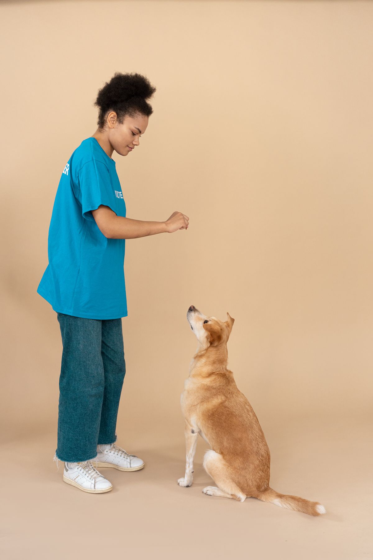 Trainer working one on one with a dog during an indoor certification session