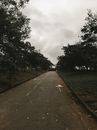Empty narrow road between lawns with trees in park