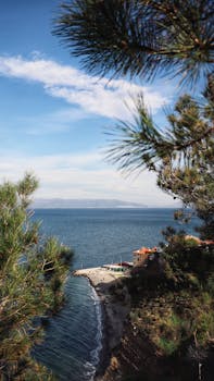 Breathtaking view of a serene beach and ocean from a hillside, framed by lush pine branches.