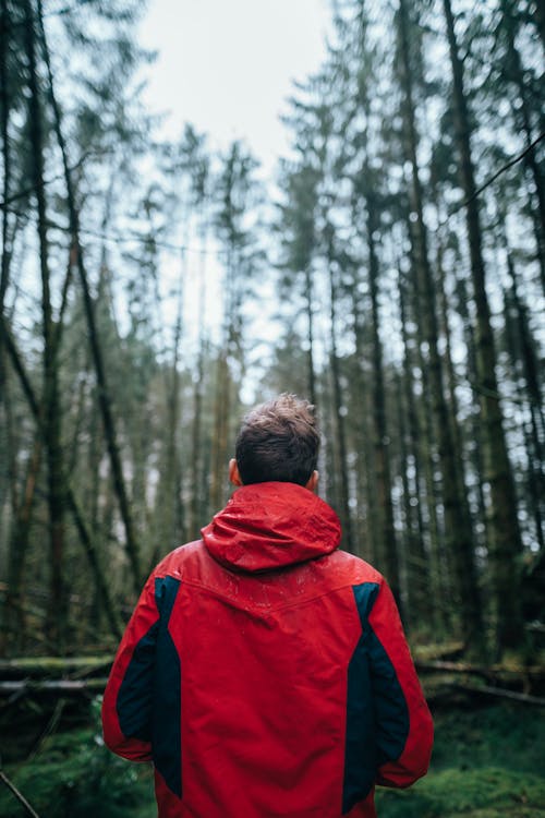 Shallow Focus Photo of Man Wearing Black and Red Jacket Standing in Forest