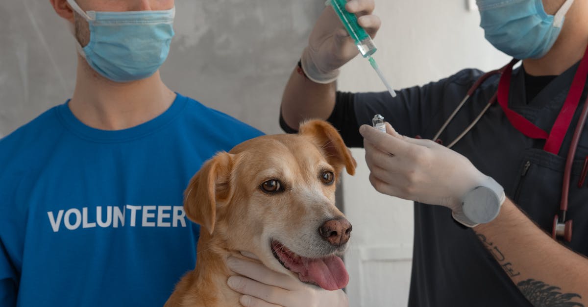 A Man Holding a Syringe with Medication