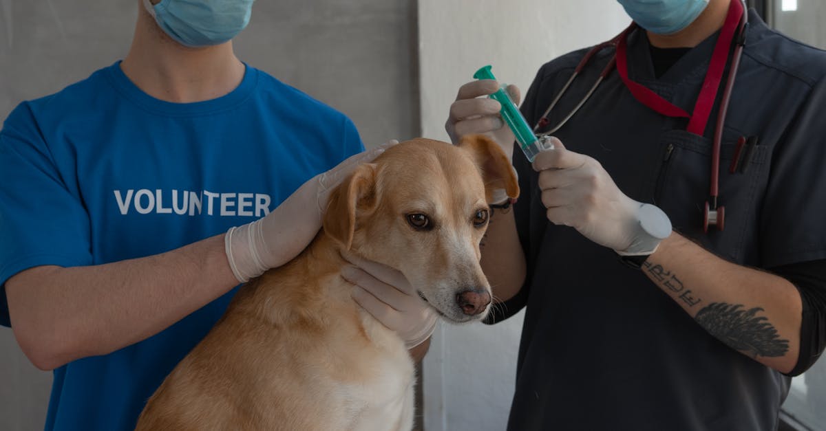 Men with Face Mask Standing Beside a Dog in the Clinic