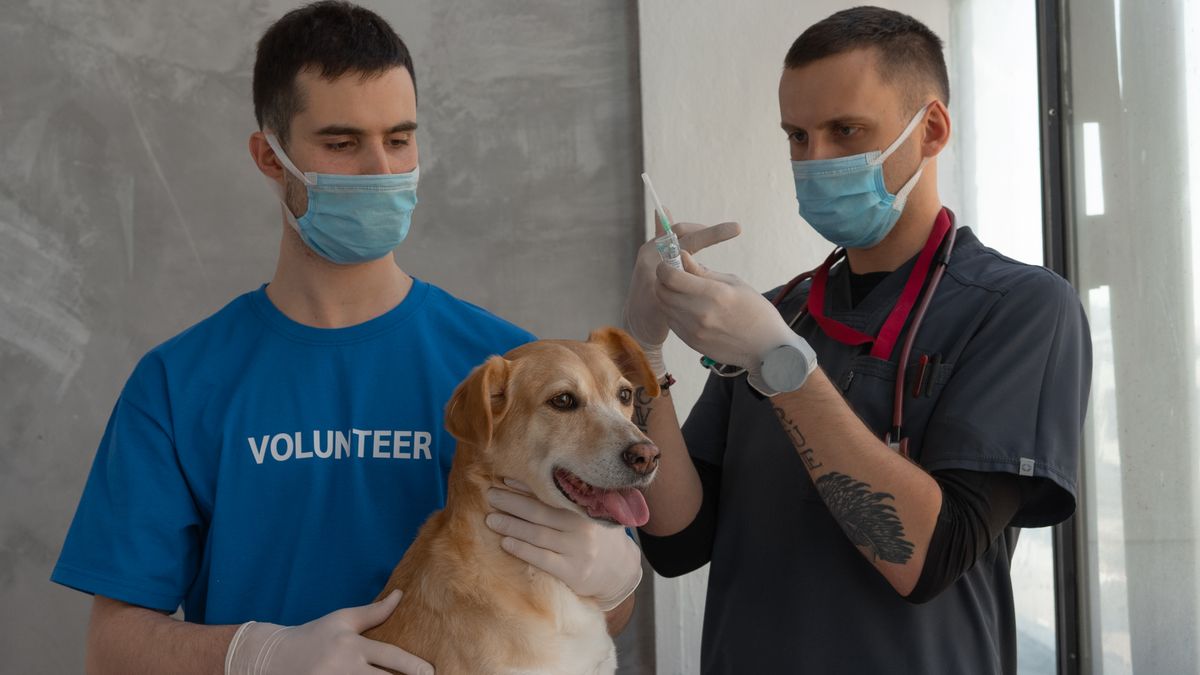 Santé animale préventive