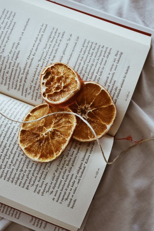 Free Artistic composition of dried orange slices on an open book, evoking a feeling of vintage elegance. Stock Photo