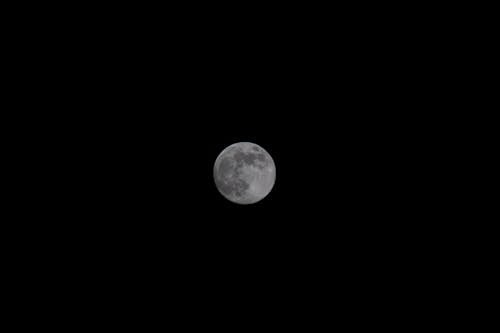 Kostnadsfria Kostnadsfri bild av astronomi, fullmåne, hd tapeter Stock foto
