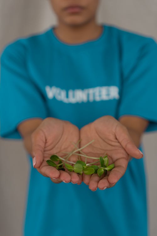 Free Close-Up Shot of a Person Holding Sprouts Stock Photo