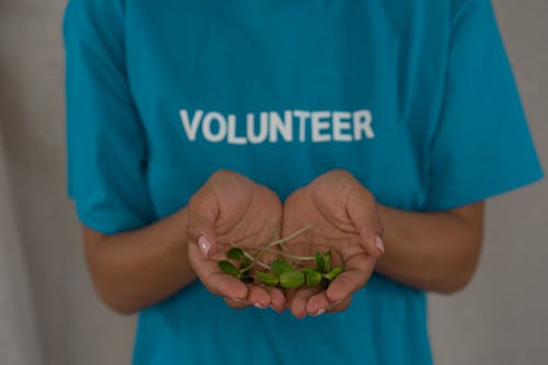 Close-Up Shot of a Person Holding Sprouts