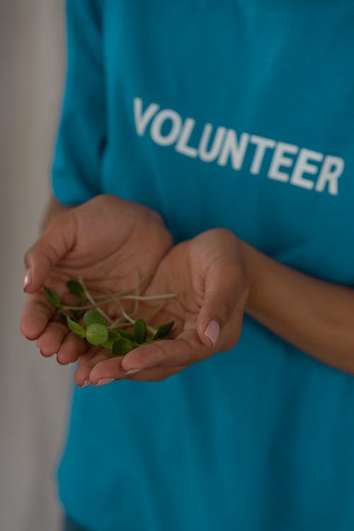 Close-Up Shot of a Person Holding Sprouts