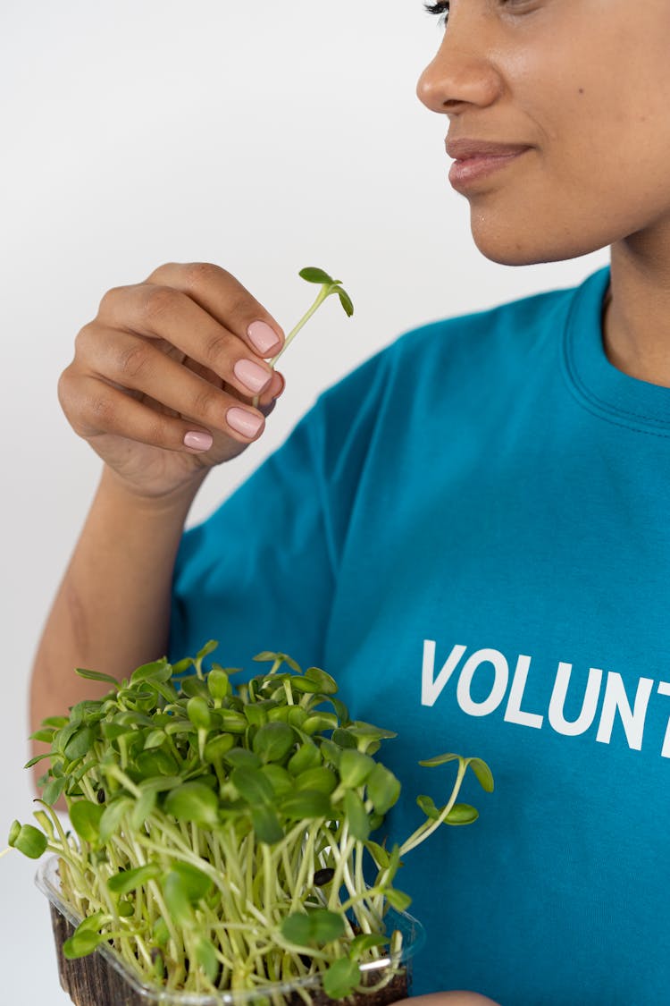 A Person In Blue Crew Neck T-shirt Holding A Sprout