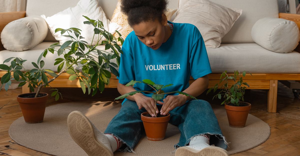 Dirt Under the Fingernails: McKinney Green Gardens Invites Residents to Grow Something Together