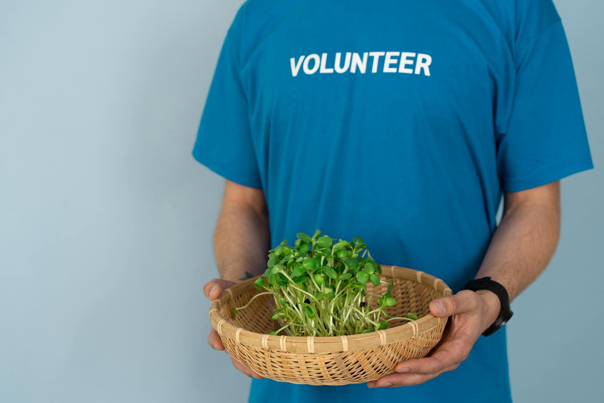 Person in Blue Crew Neck T-shirt Holding Brown Woven Basket With Green Leaves