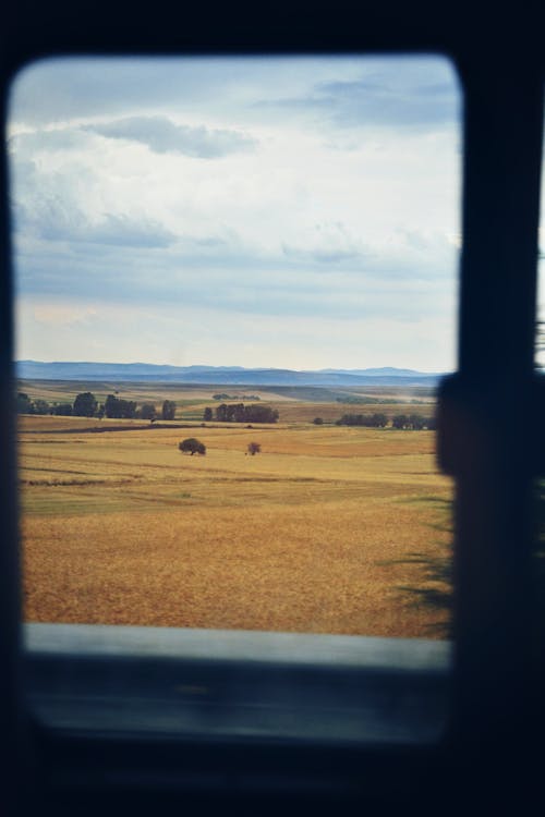 Foto stok gratis bidang, gandum, jendela