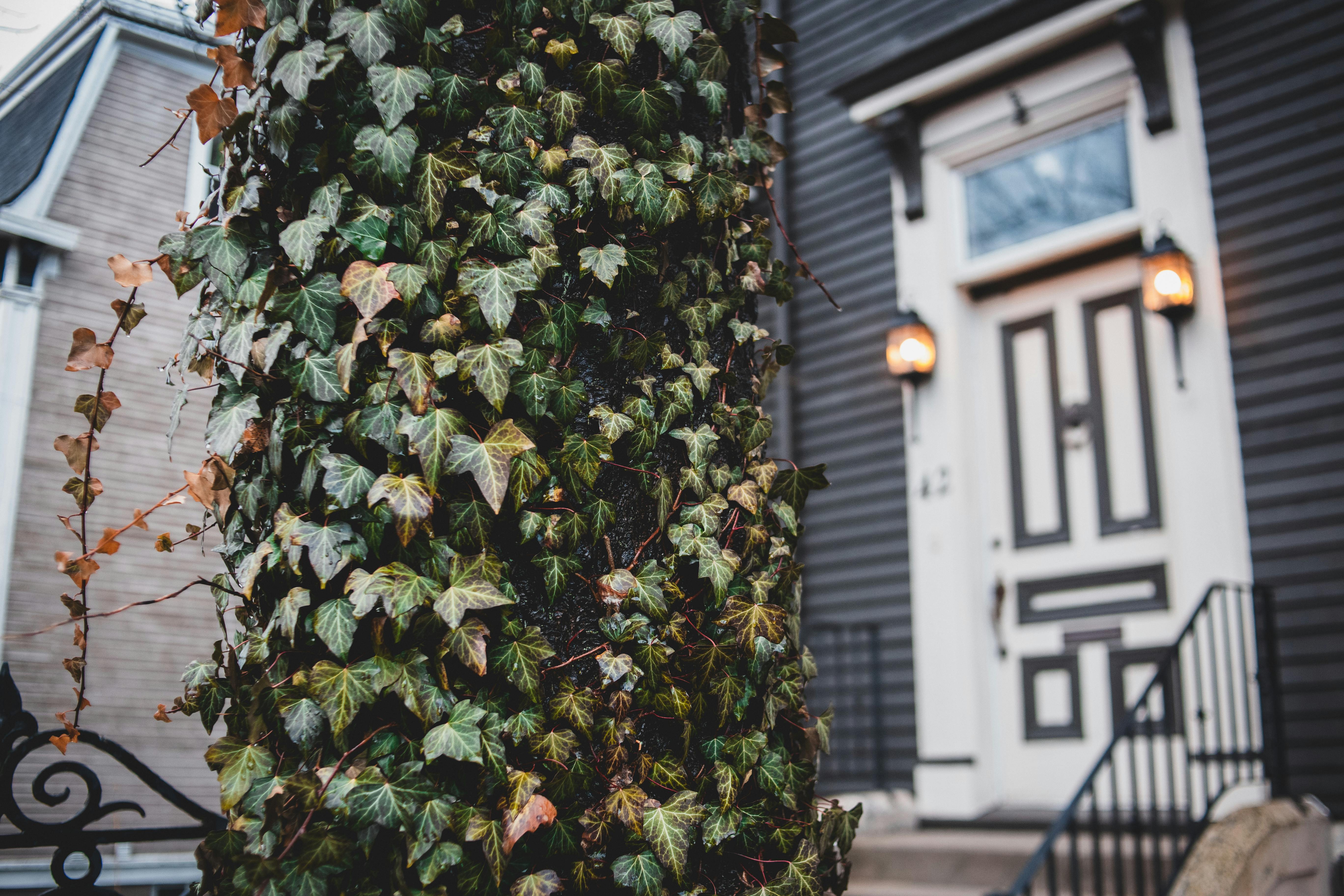 Ivy League admission decisions have been released. As a college admissions expert, here's what surprised me most. — Photo by 