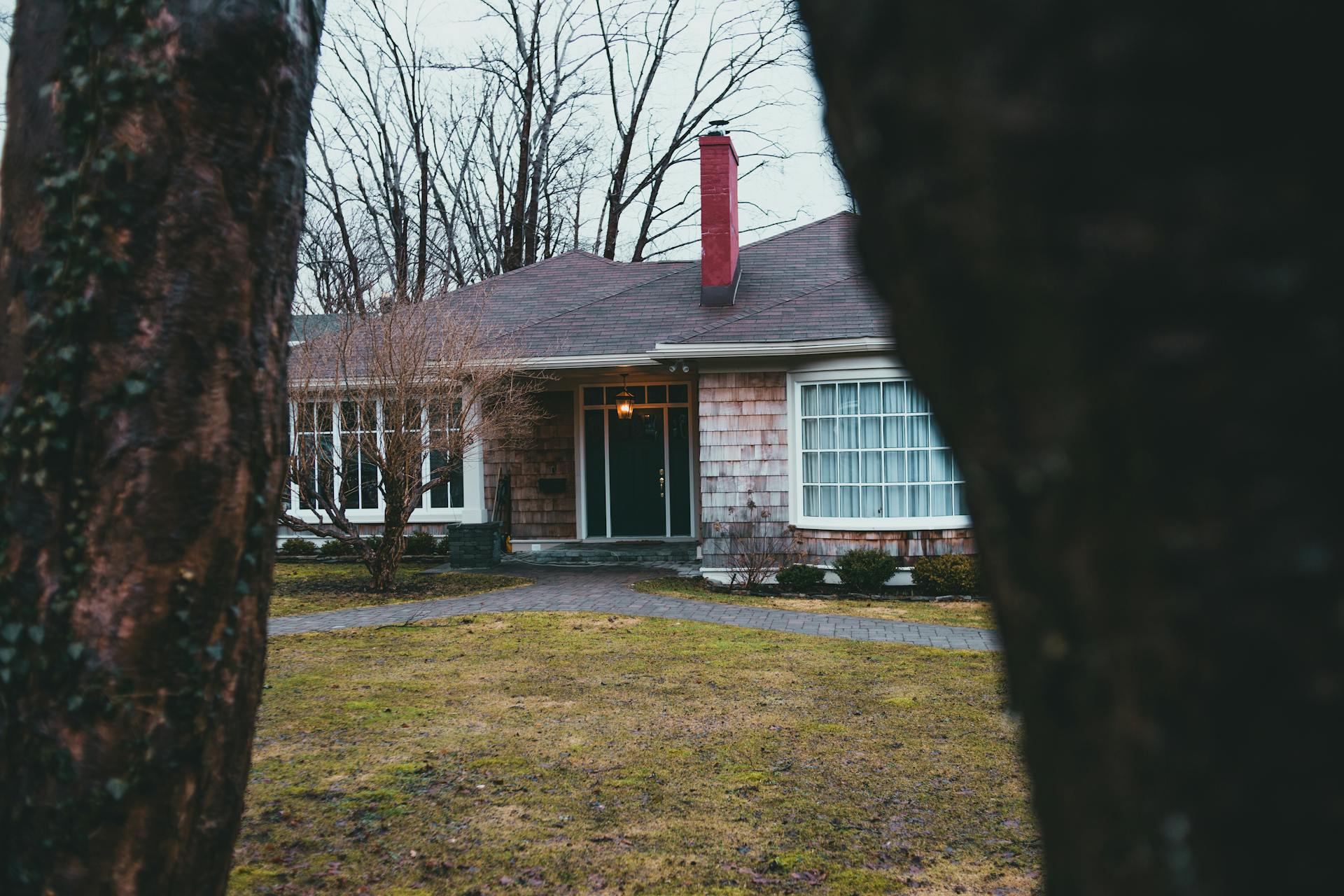 A cozy rural home with a red chimney surrounded by bare trees, framed by two tree trunks.