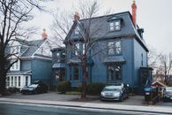 Street with cottages and trees near pavement with cars