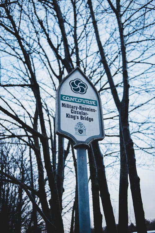 Low angle of street sign with inscription placed on pillar on background of blue sky and leafless trees